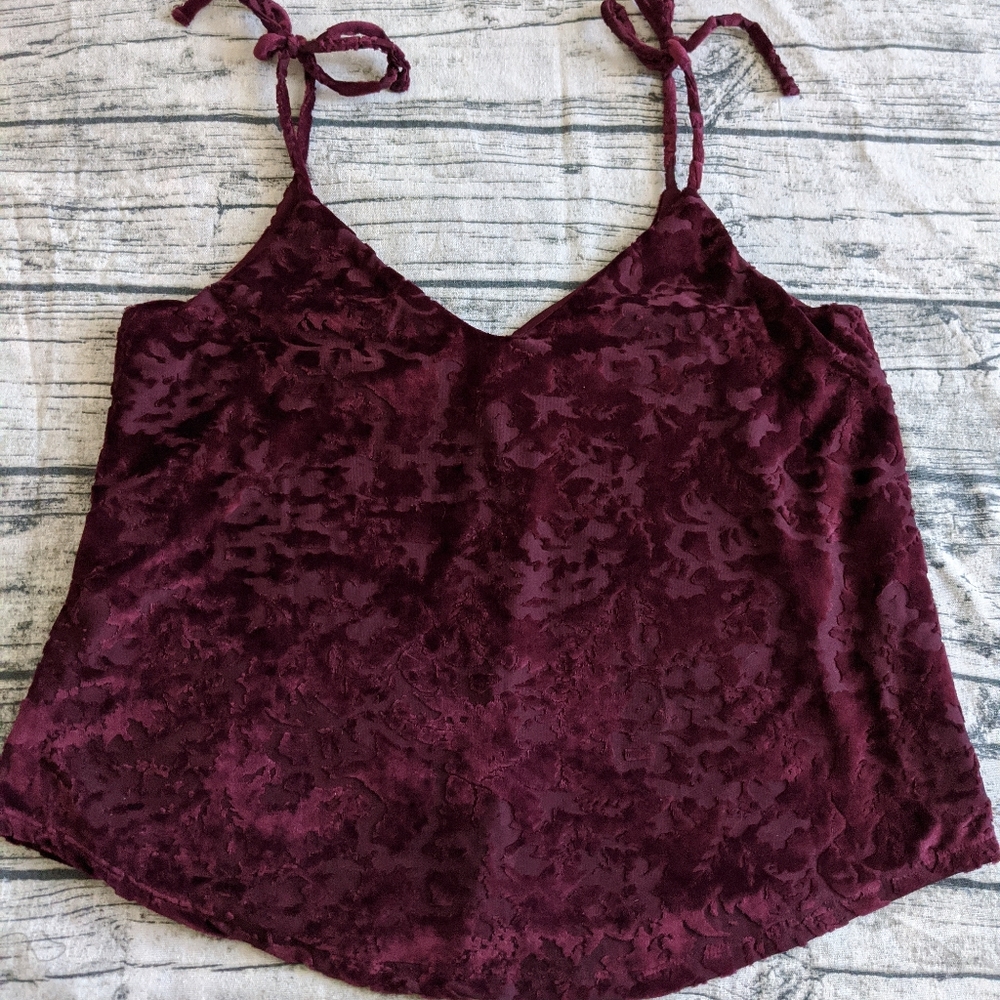 NWT Dex burnout velvet tank